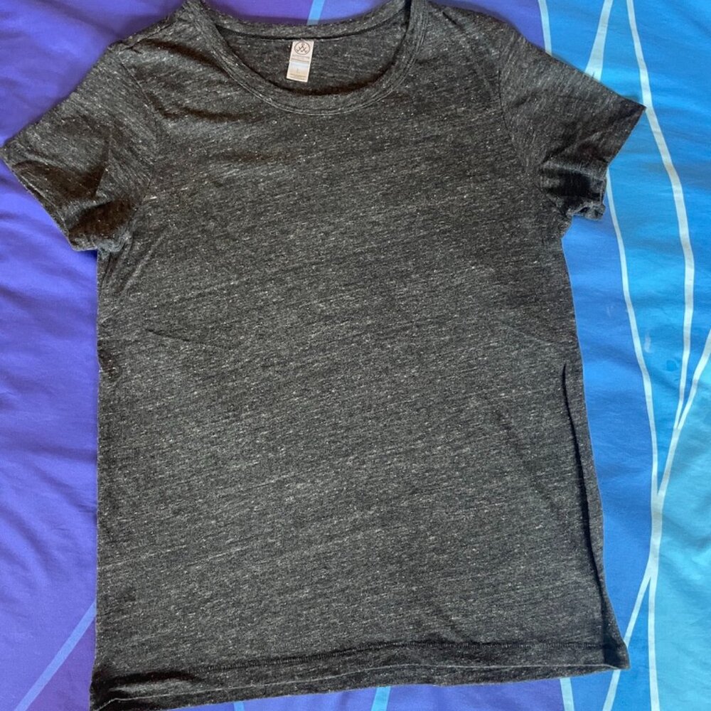 Alternative Earth Women's T-shirt, Large, Gray